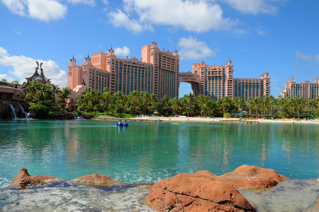 Caribbean cruise ship sailing under palm‑framed blue skies